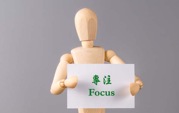 focus_puzzlefree translation